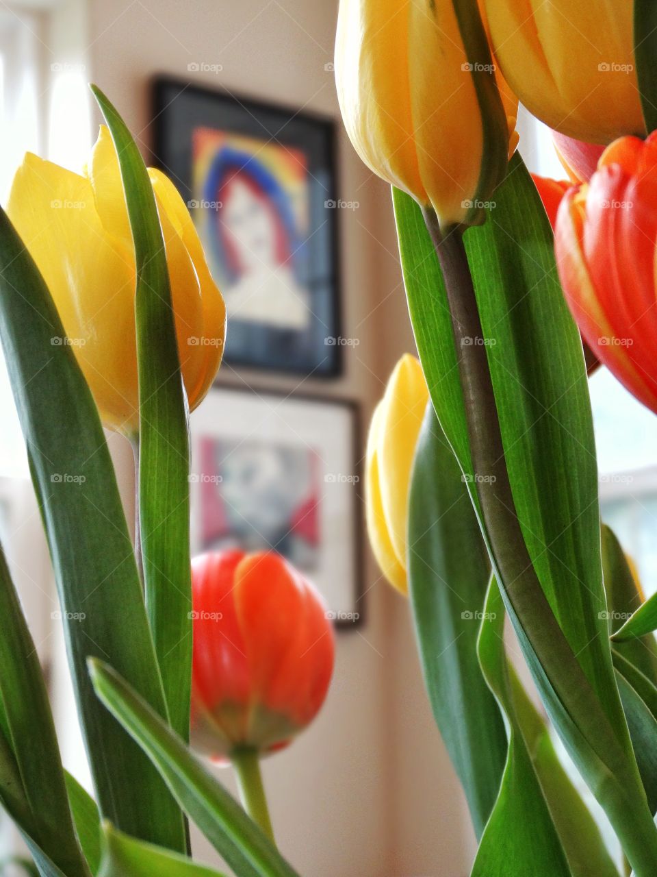 Tulips Accenting Home Decor