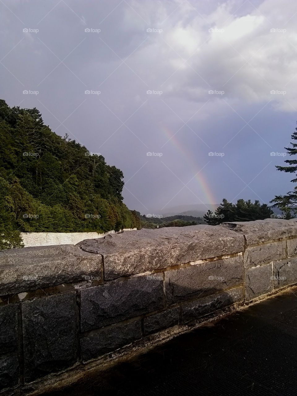Blue ridge parkway after the rain