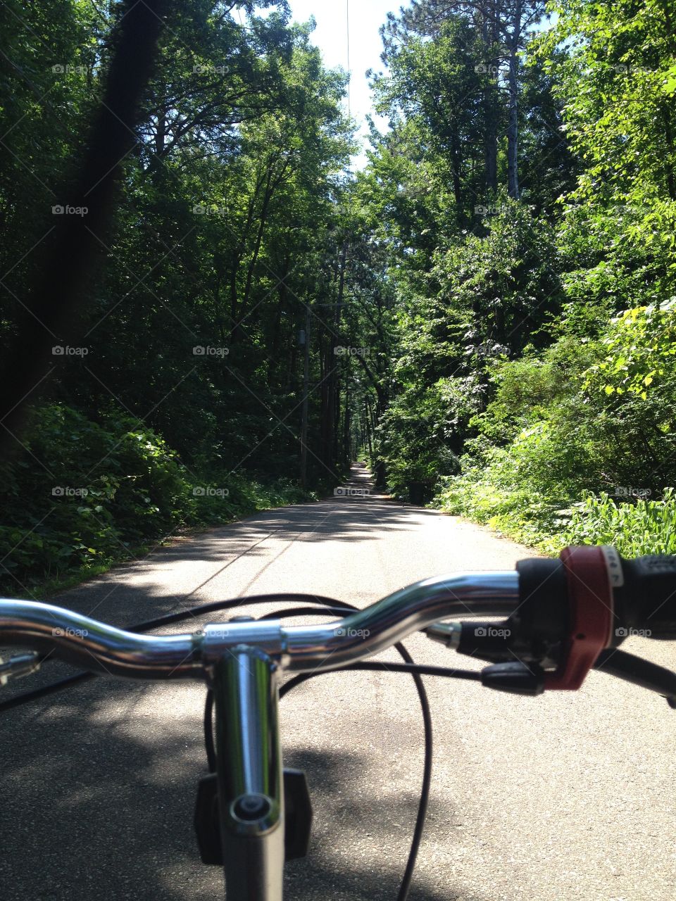 Bike ride through Wisconsin forests 