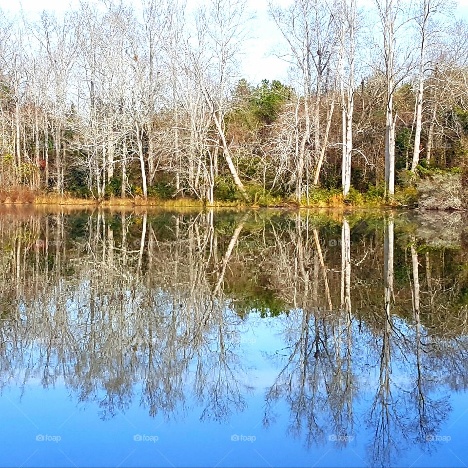 Reflection 
Sunday nature walk at Diamond Lakes Georgia, beautiful reflection in the lake