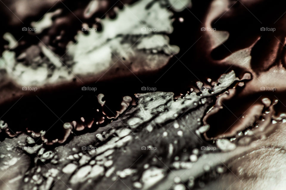 Black and white abstraction.