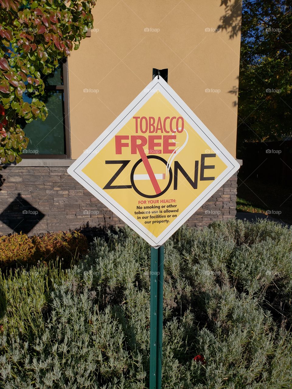 smoke free zone sign