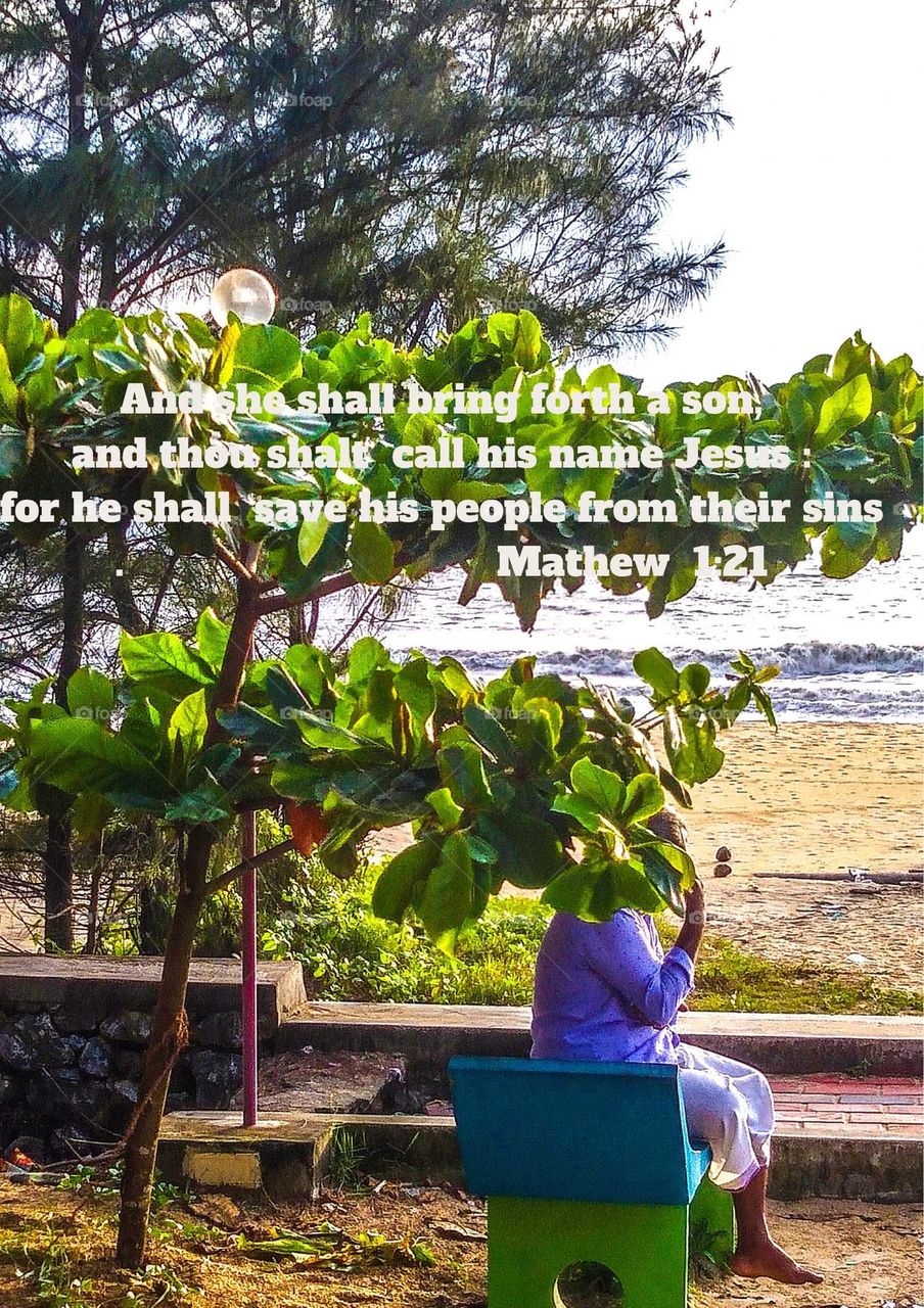 Beautiful nature scenery