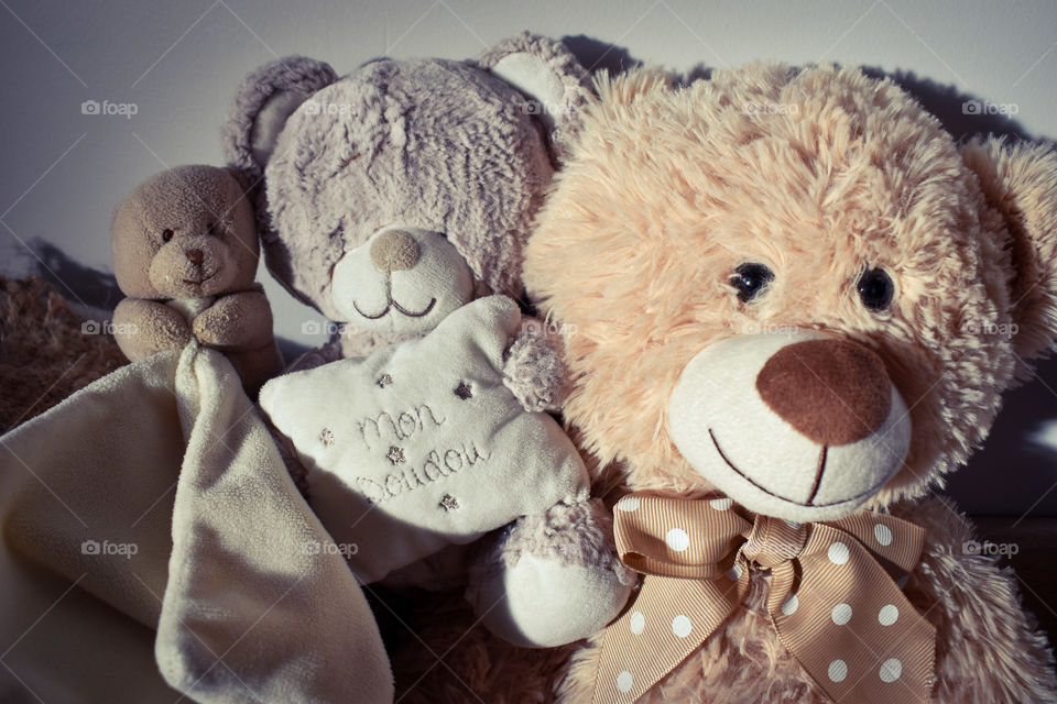 Bears help to sleep well