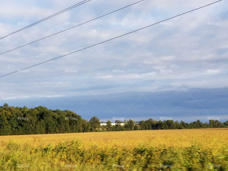Just a farm on a hill