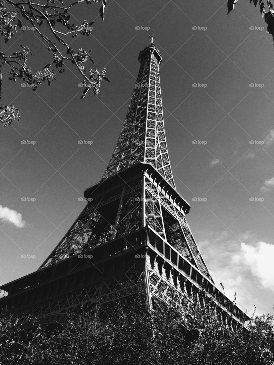 The Eiffel Tower