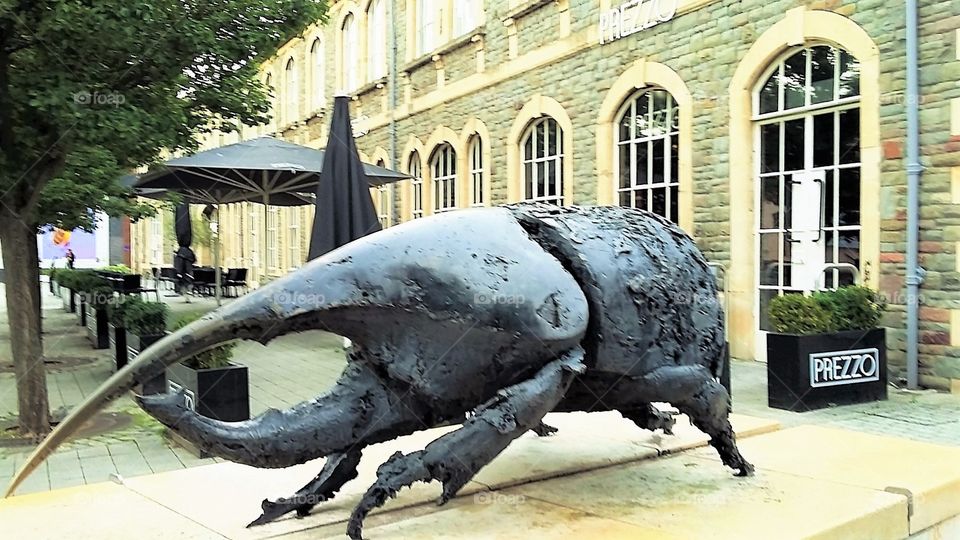 Beetle-effect Statute