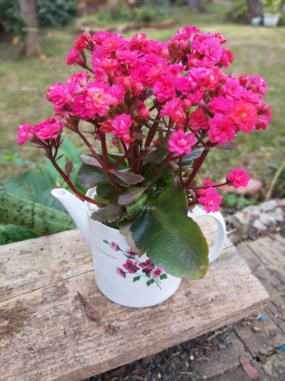 flower arrangement in porcelain teapot