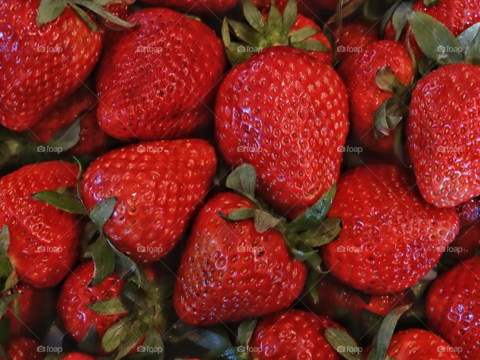 Summer Strawberries
