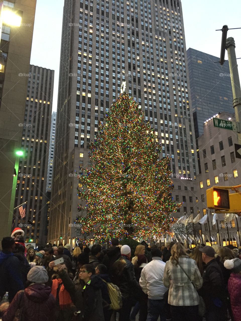 Rockefeller Christmas Tree in NYC