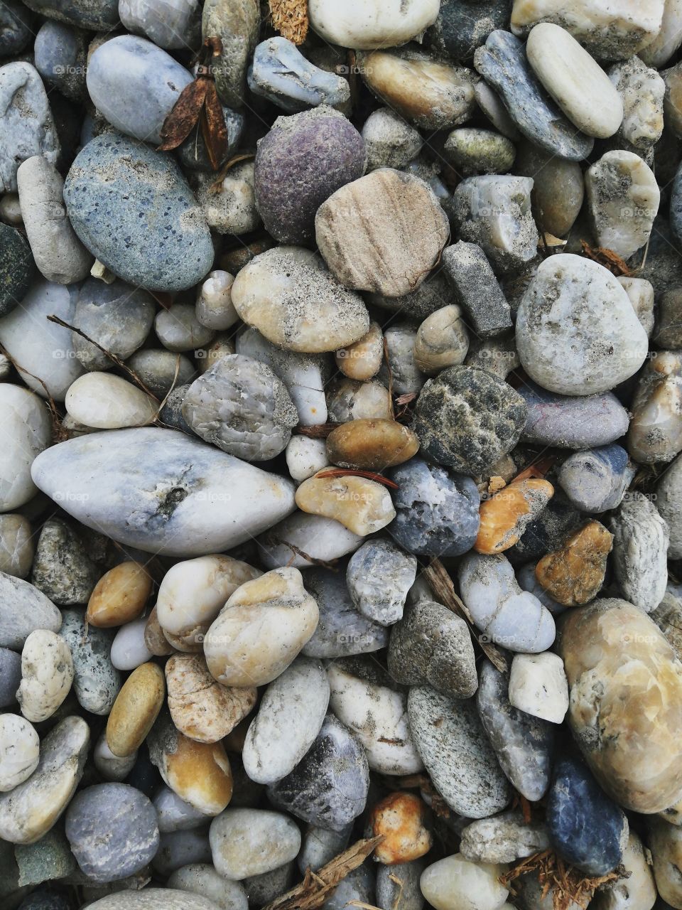 Rocks