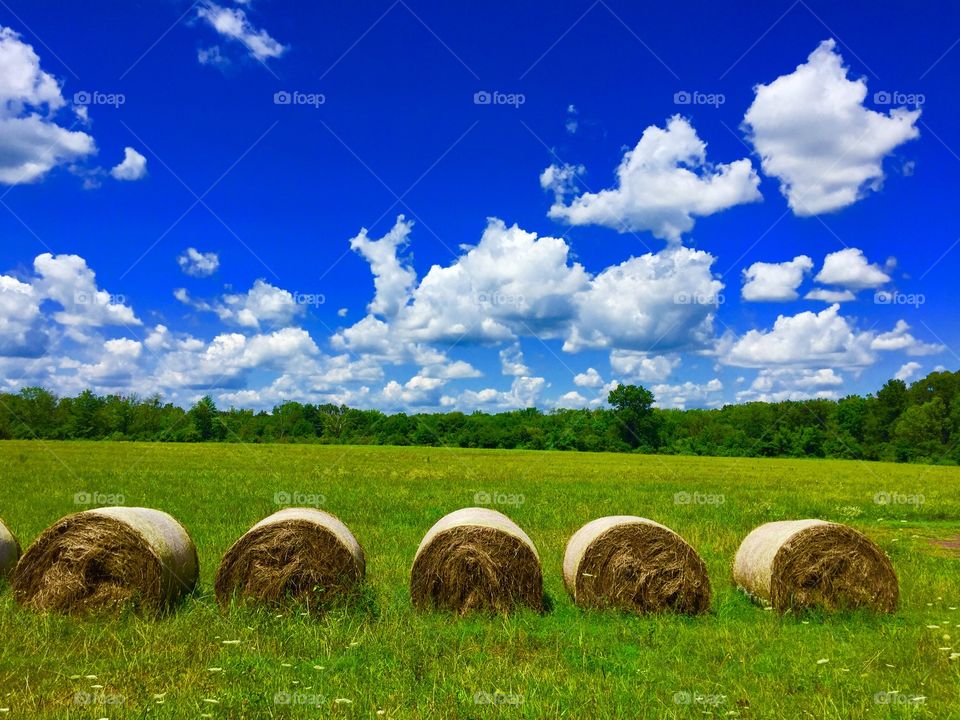 A beautiful summer day surrounded by hay bales! 