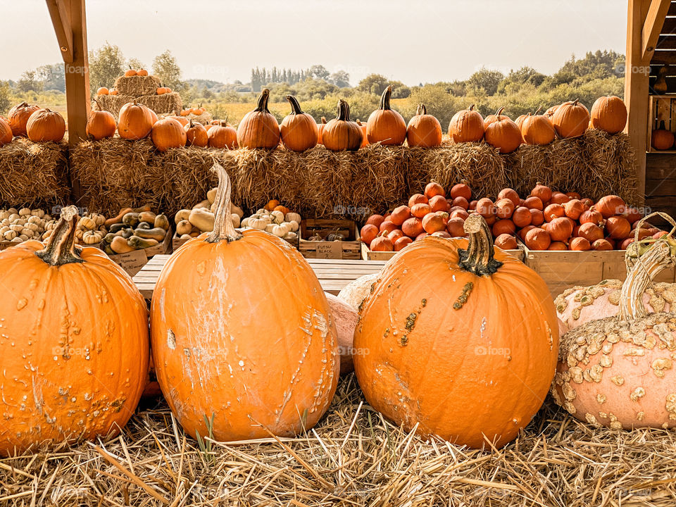 Pumpkins