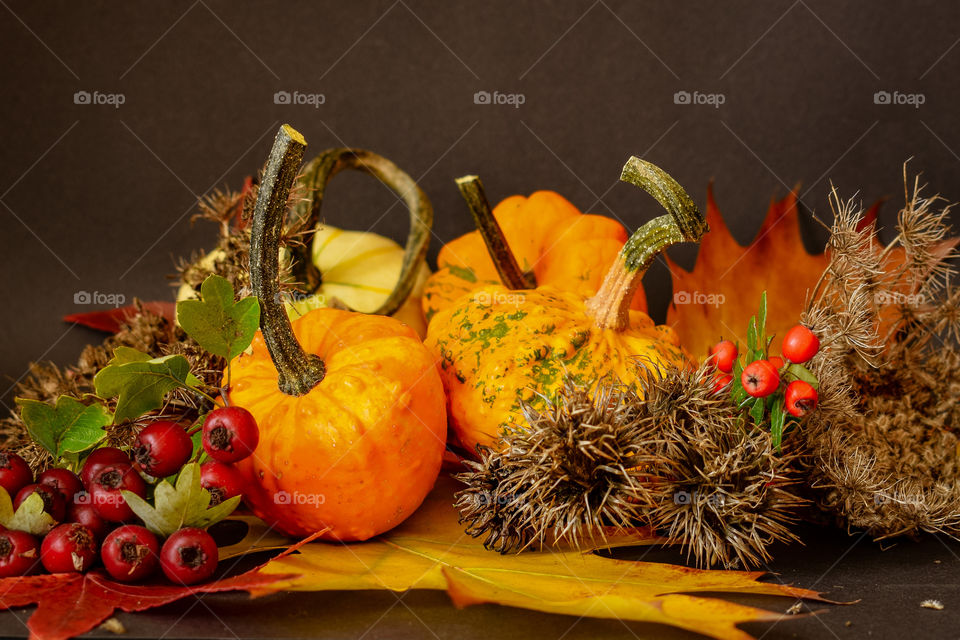 Pumpkins and berries on a black background 