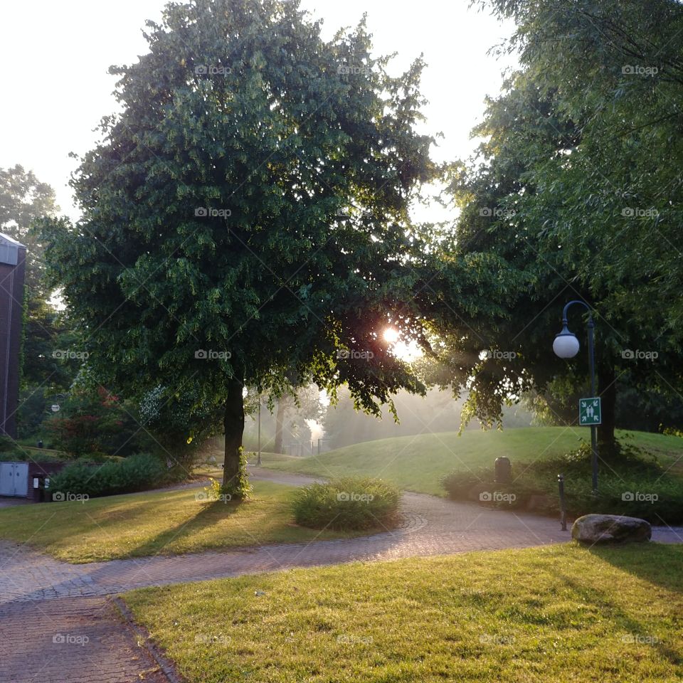 Park Morgens