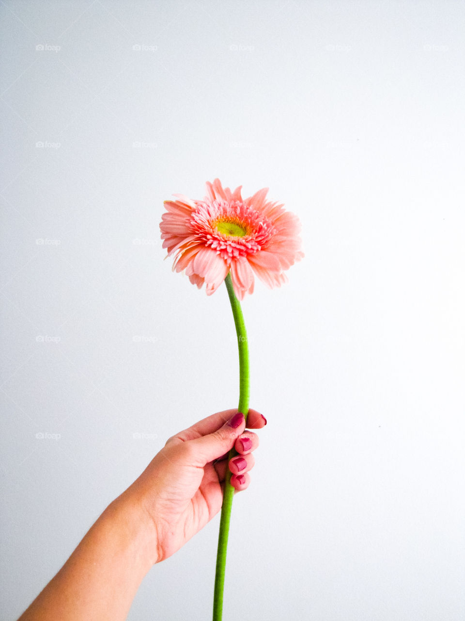 pink nails and a beautiful flower