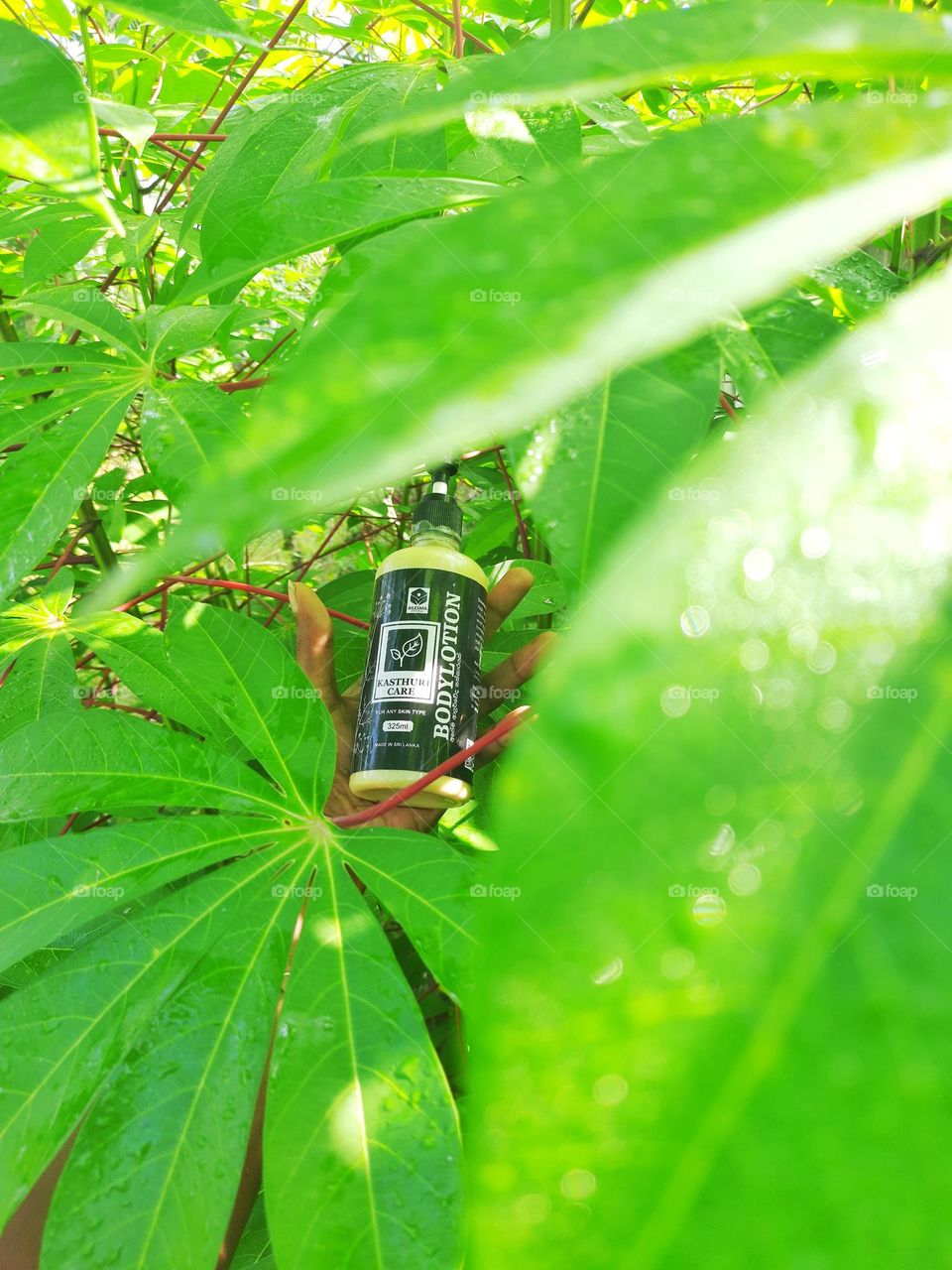 Bilesma natural kasthuri care body lotion.