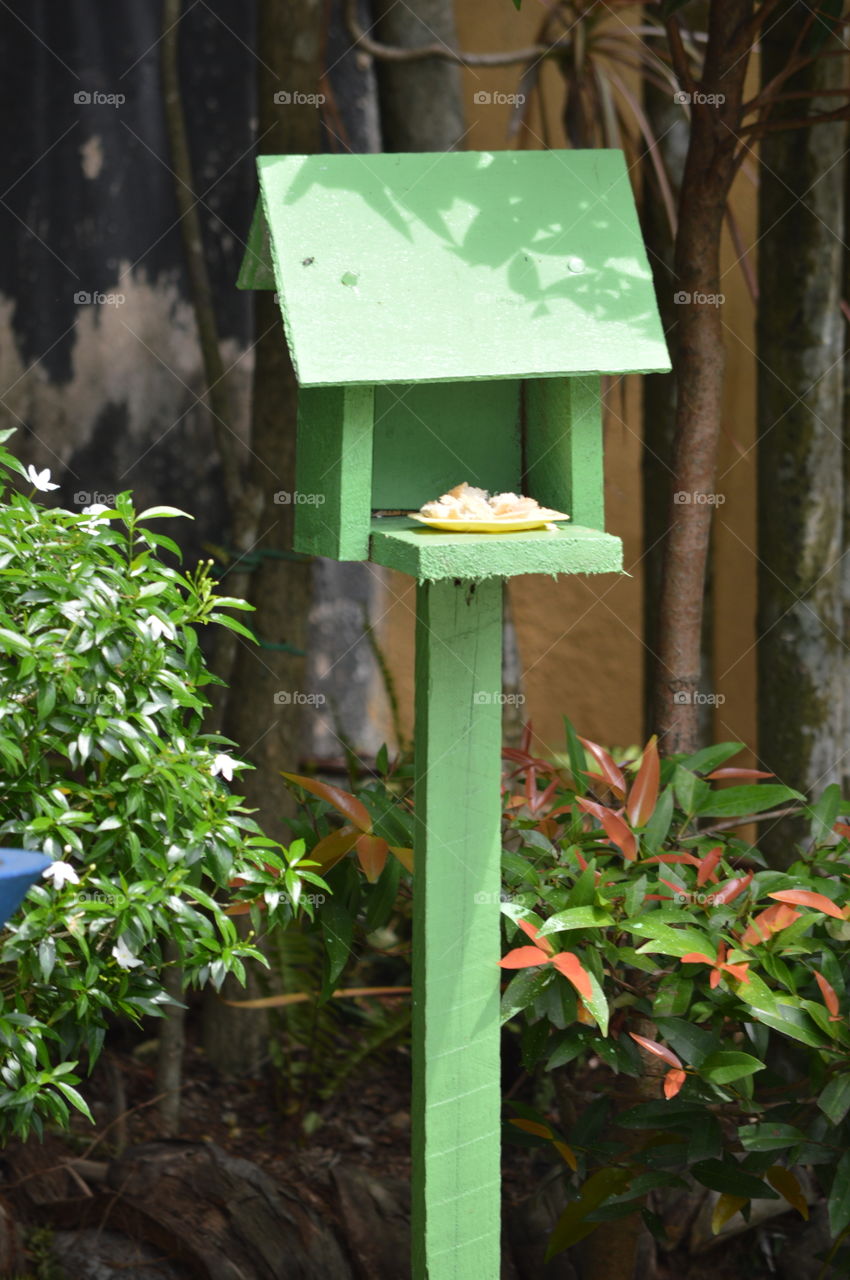 birds food house in our garden