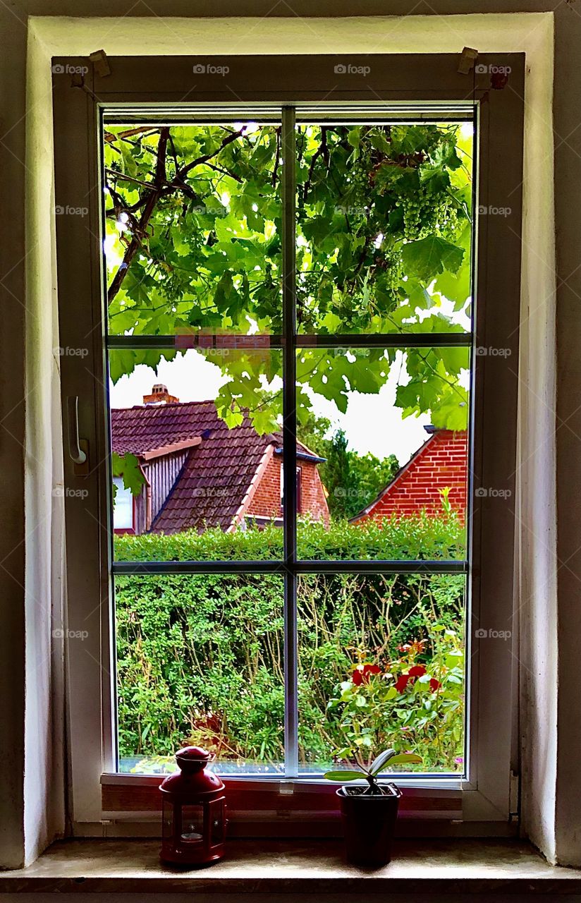 Wonderful view! Look🙄