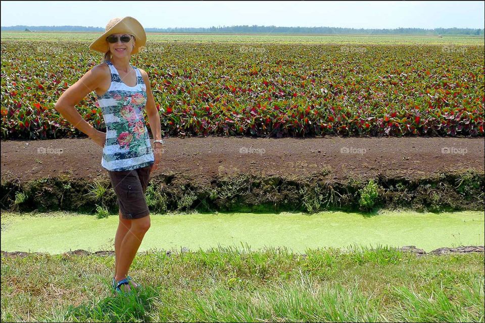 Summertime woman by the caladium fields.