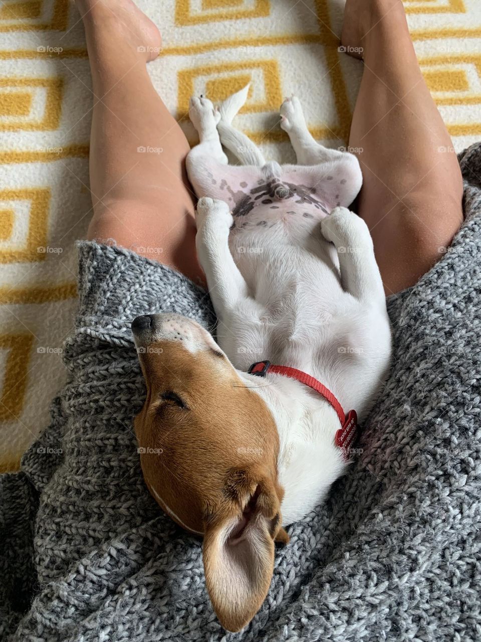 Editor’s Choice: Photo of the Week