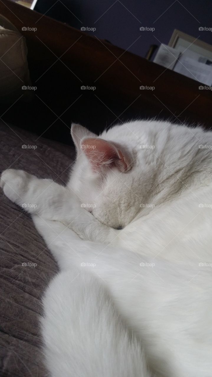 Now I lay me down to sleep