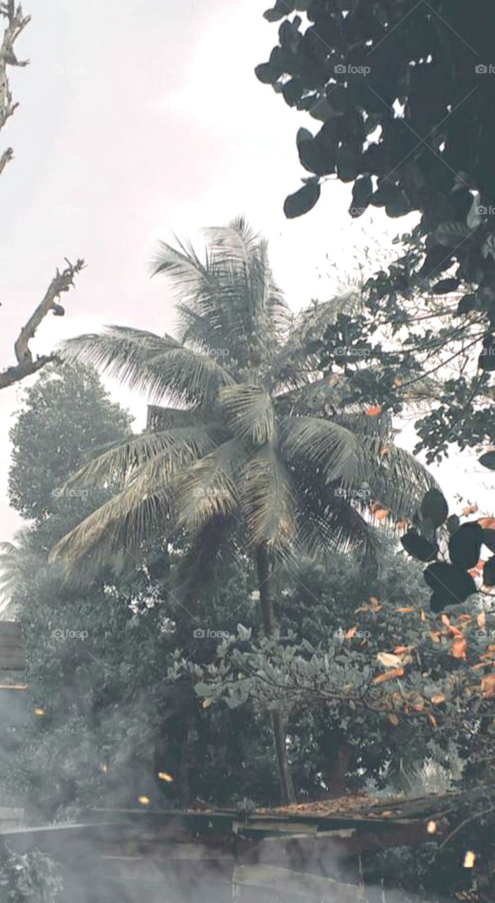 most awesome view in winter