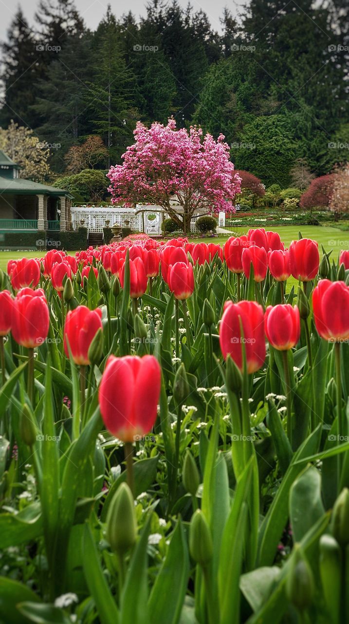 Butchart gardens Vancouver Island