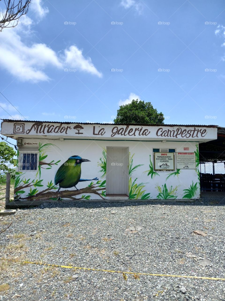 casa con un pajaro pintado
