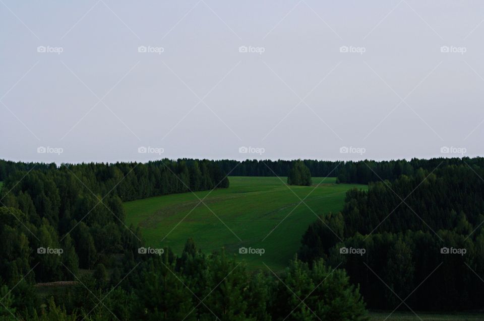 Russian fields