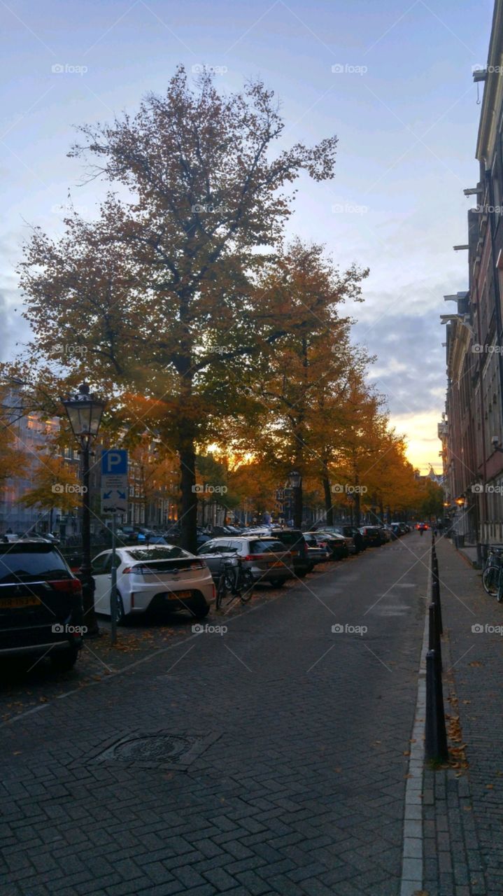 sunset in Amsterdam