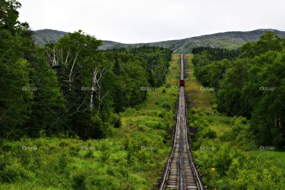 Follow the road 