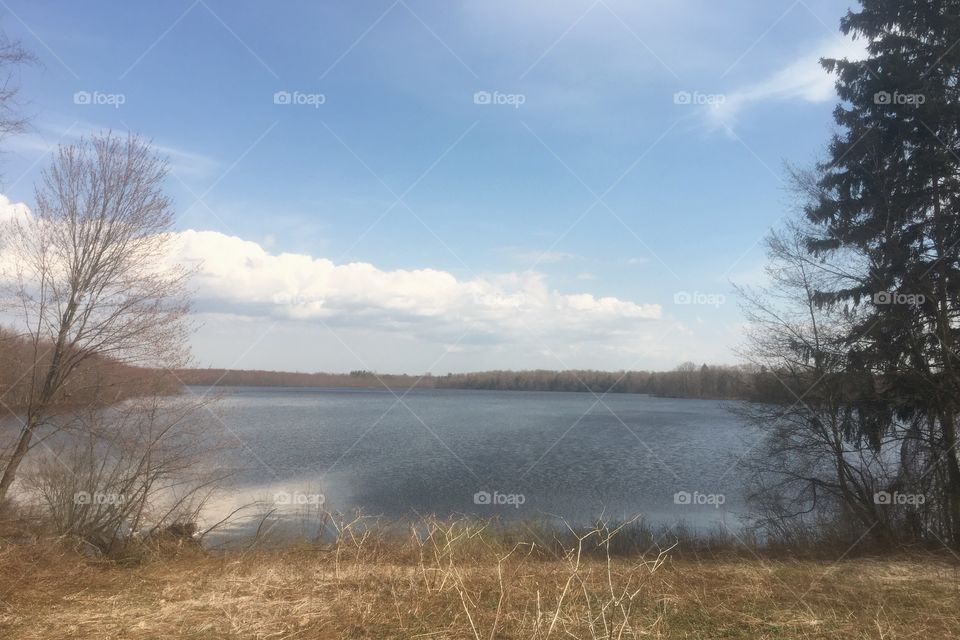 Beaver Lake Nature Center hikes. 