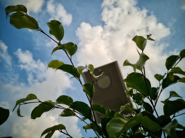 Perfect weather
