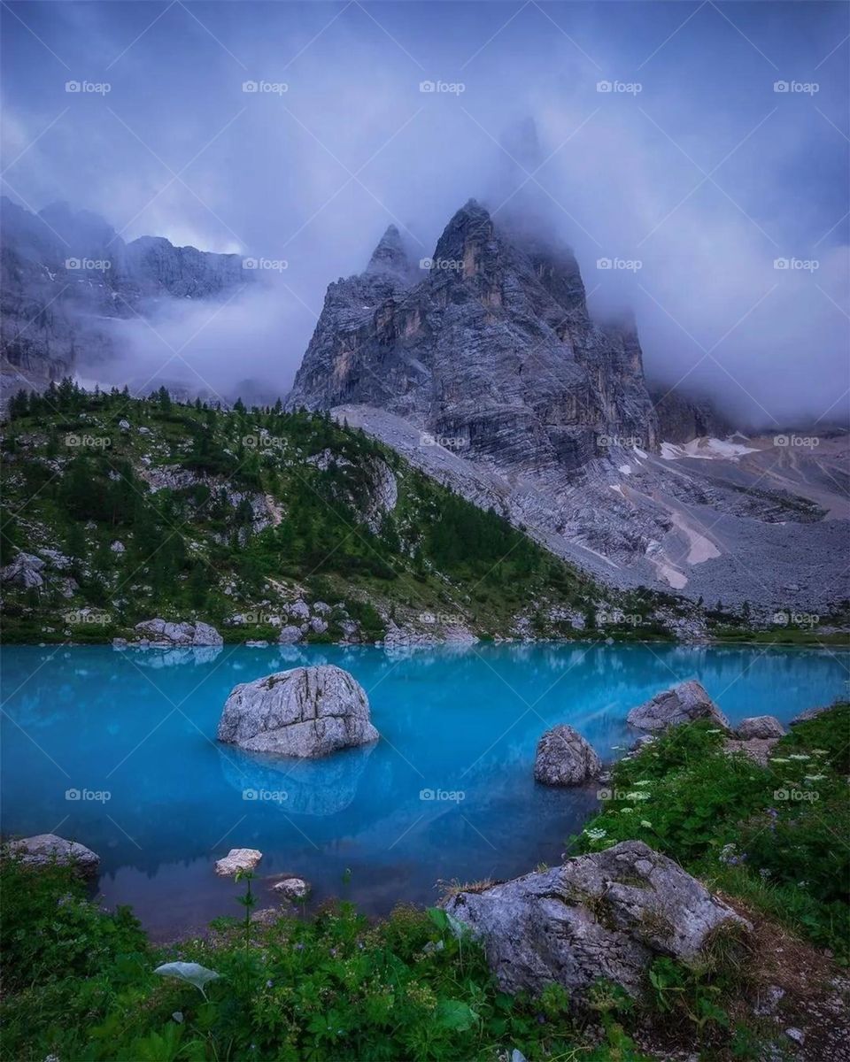 this photo is very beautiful