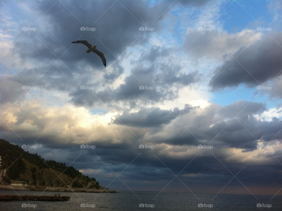 Water, Sky, No Person, Beach, Sea