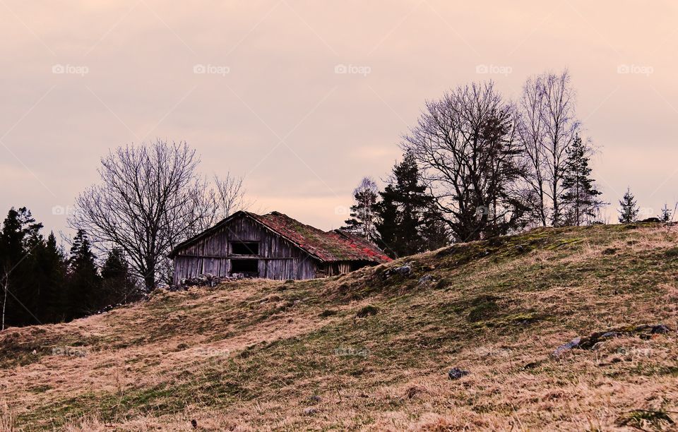 Old barn 