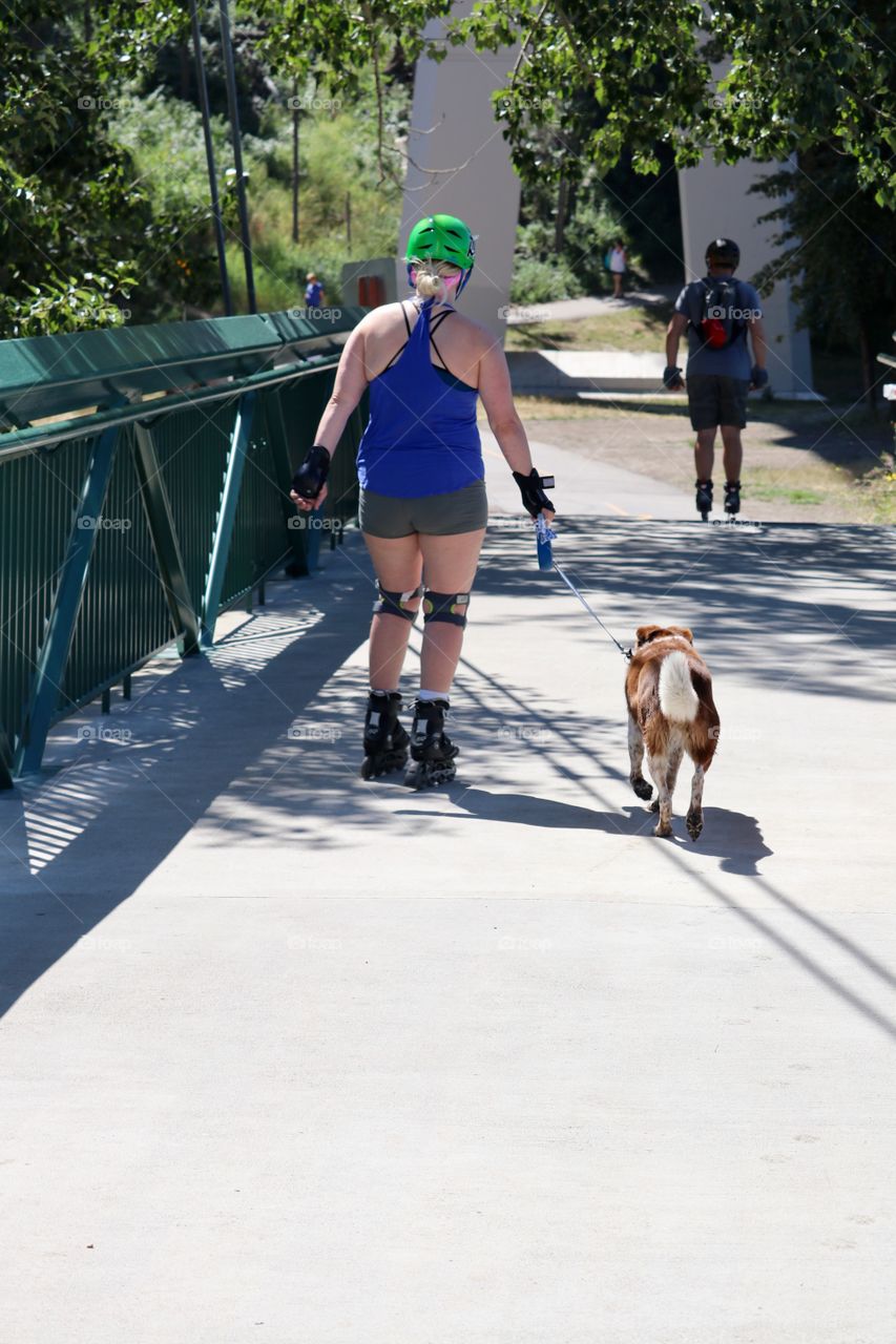 Female rollerblader and her dog rollerblading across foot bridge over the bow river in Calgary 