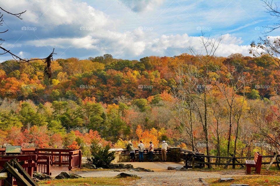 Enjoying Autumn