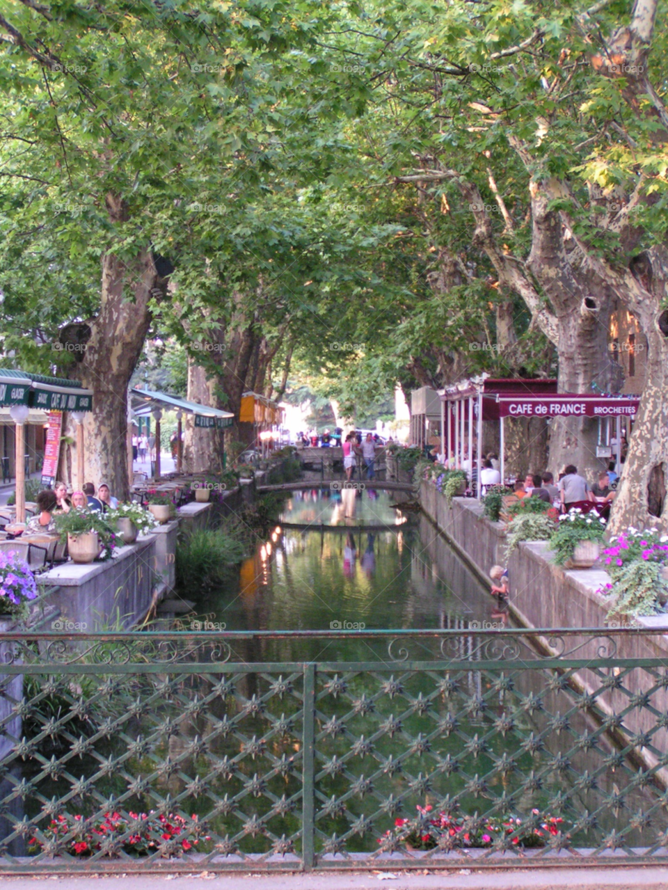 summer water france canal by salsa