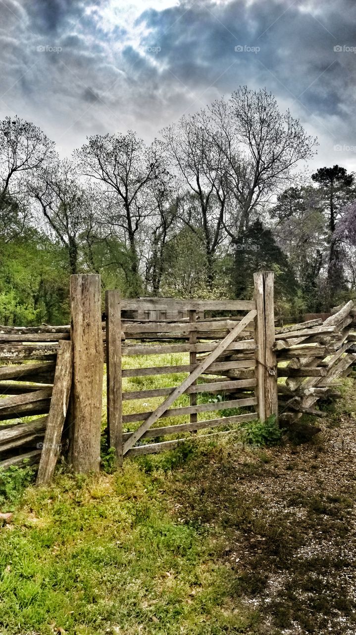 fences