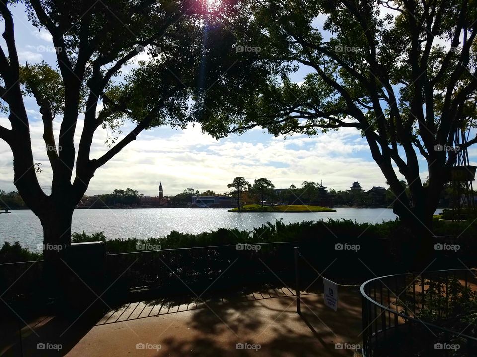 Tree, No Person, Landscape, Water, Park