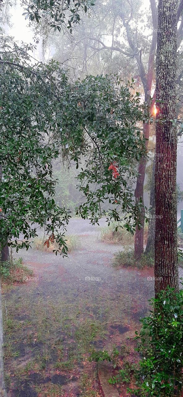 and the lawn becomes a lake street lamp still trying to light the way