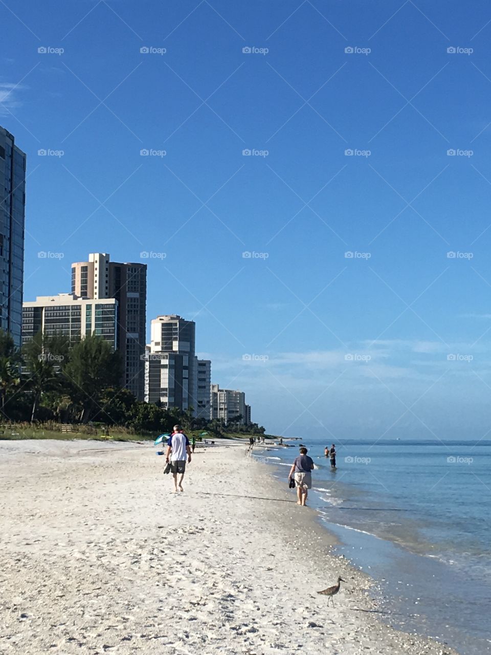 A Stroll on the Beach