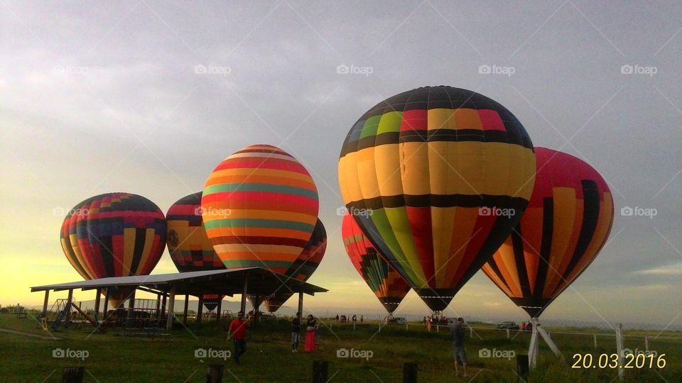 balões de balonismo coloridos cheios prontos para voarem no amanhecer