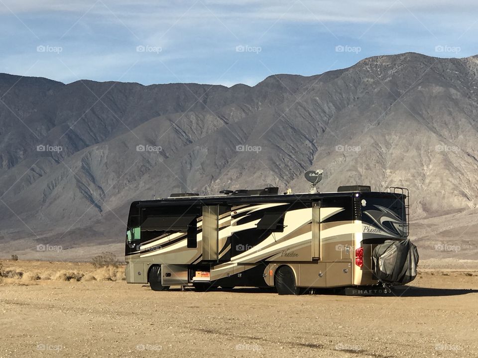 Beauty in the Desert