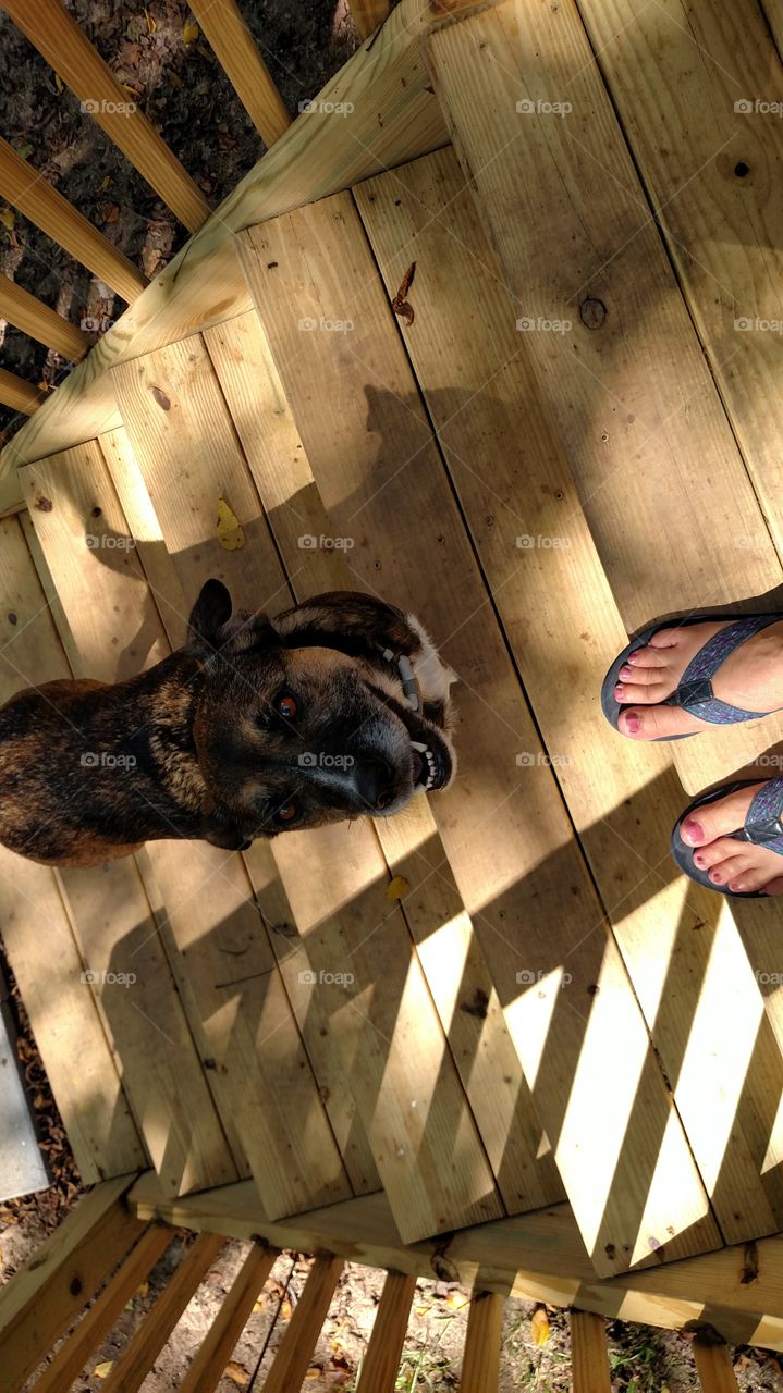 from where I stand I see the sweetest cutest dog