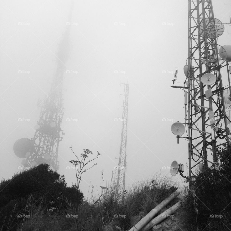 Monte torro all misty 