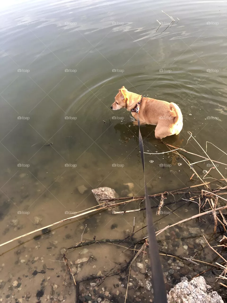 Small But Mighty