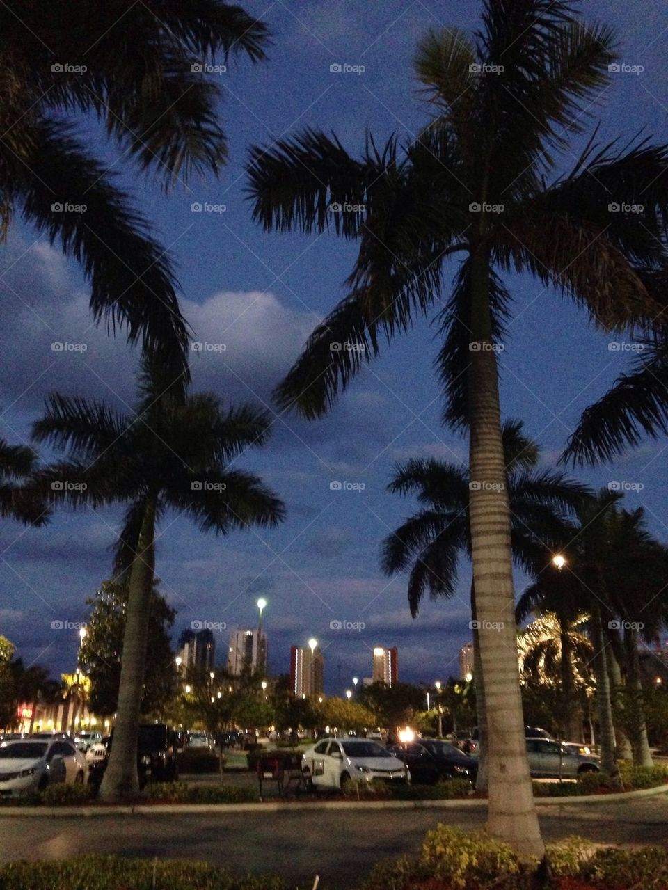 Twilight in Miami